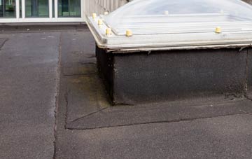 disadvantages of Dinas Cross flat roofs