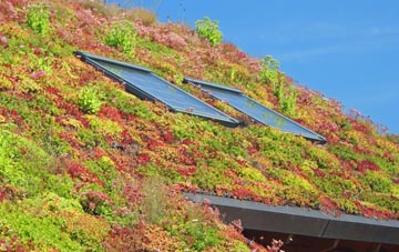 Dinas Cross living roof systems